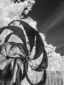 No Wind